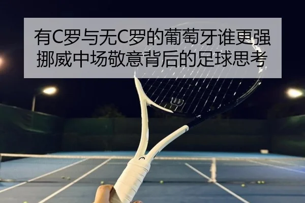 有C罗与无C罗的葡萄牙谁更强 挪威中场敬意背后的足球思考